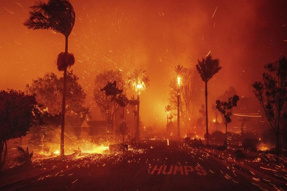 Warganet Kaitkan Kebakaran Hutan Los Angeles dengan Pidato Trump dan Surah Al Baqarah Ayat 266 