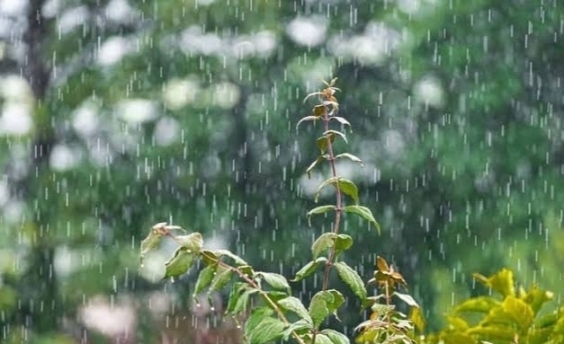 8 Wilayah Sumsel Diperkirakan Bakal Hujan Hari ini 