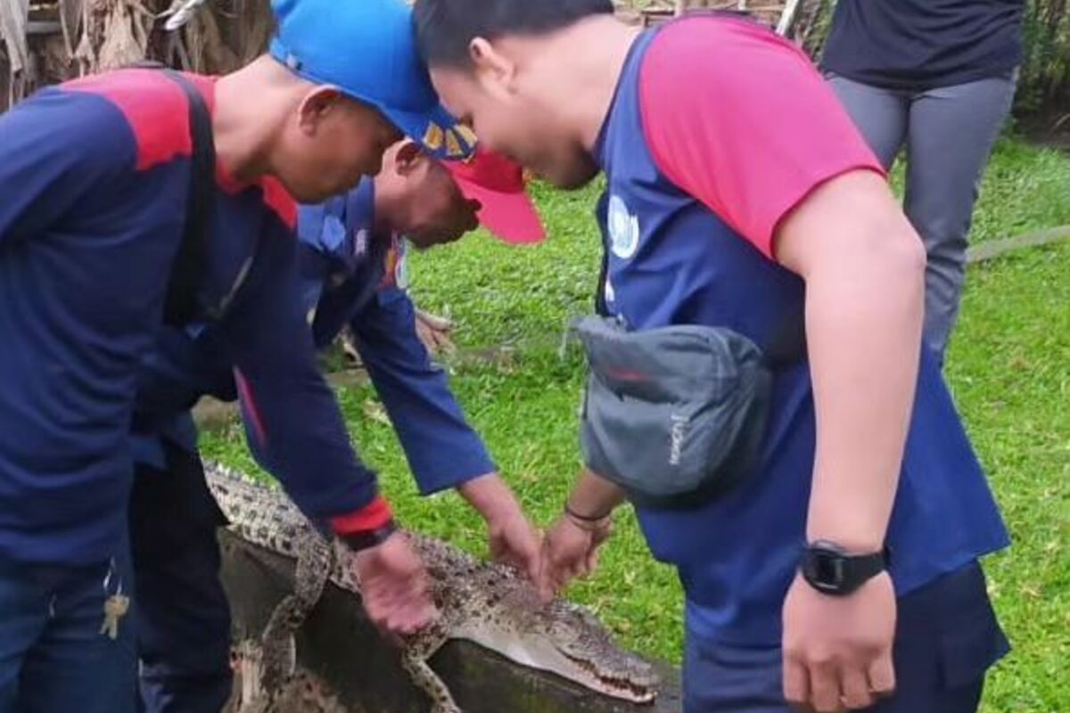 Pasang Tajur Ikan, Warga Banyuasin Dapat Buaya