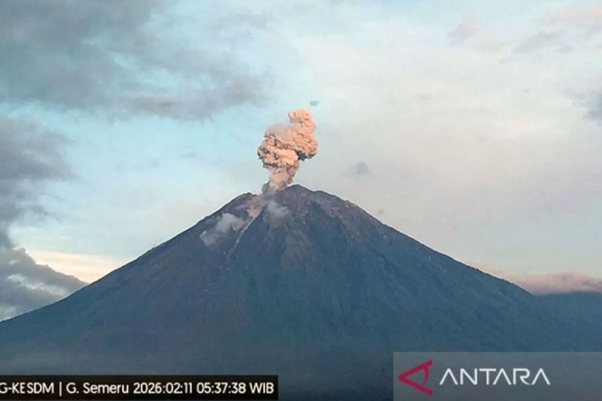 Gunung Semeru Erupsi, Masyarakat Dilarang Aktivitas Radius 5 km