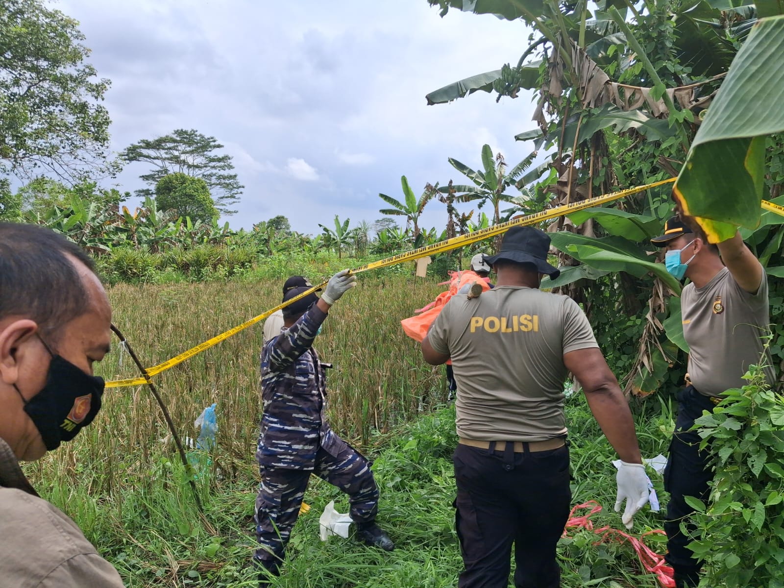 Mayat Perempuan Tanpa Identitas Ditemukan di Pinggir Sawah Desa Merah Mata Banyuasin