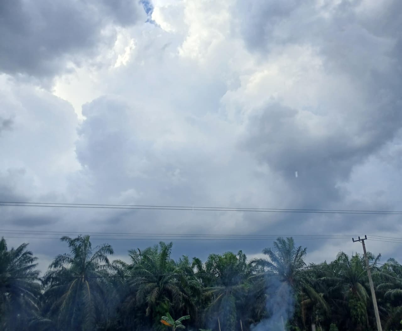 Prakiraan Cuaca Sumsel Hari ini Senin 10 November 2025 : Waspada Hujan Petir dan Angin Kencang