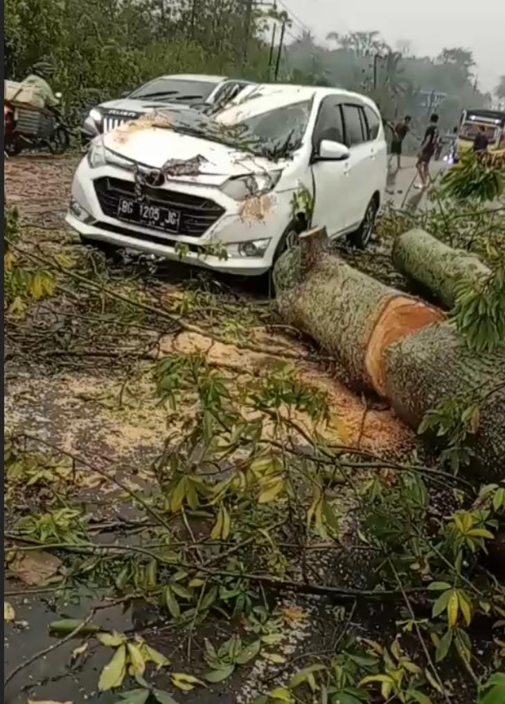 Ditimpa Pohon Kapuk, Satu Keluarga Hampir Kehilangan Nyawa