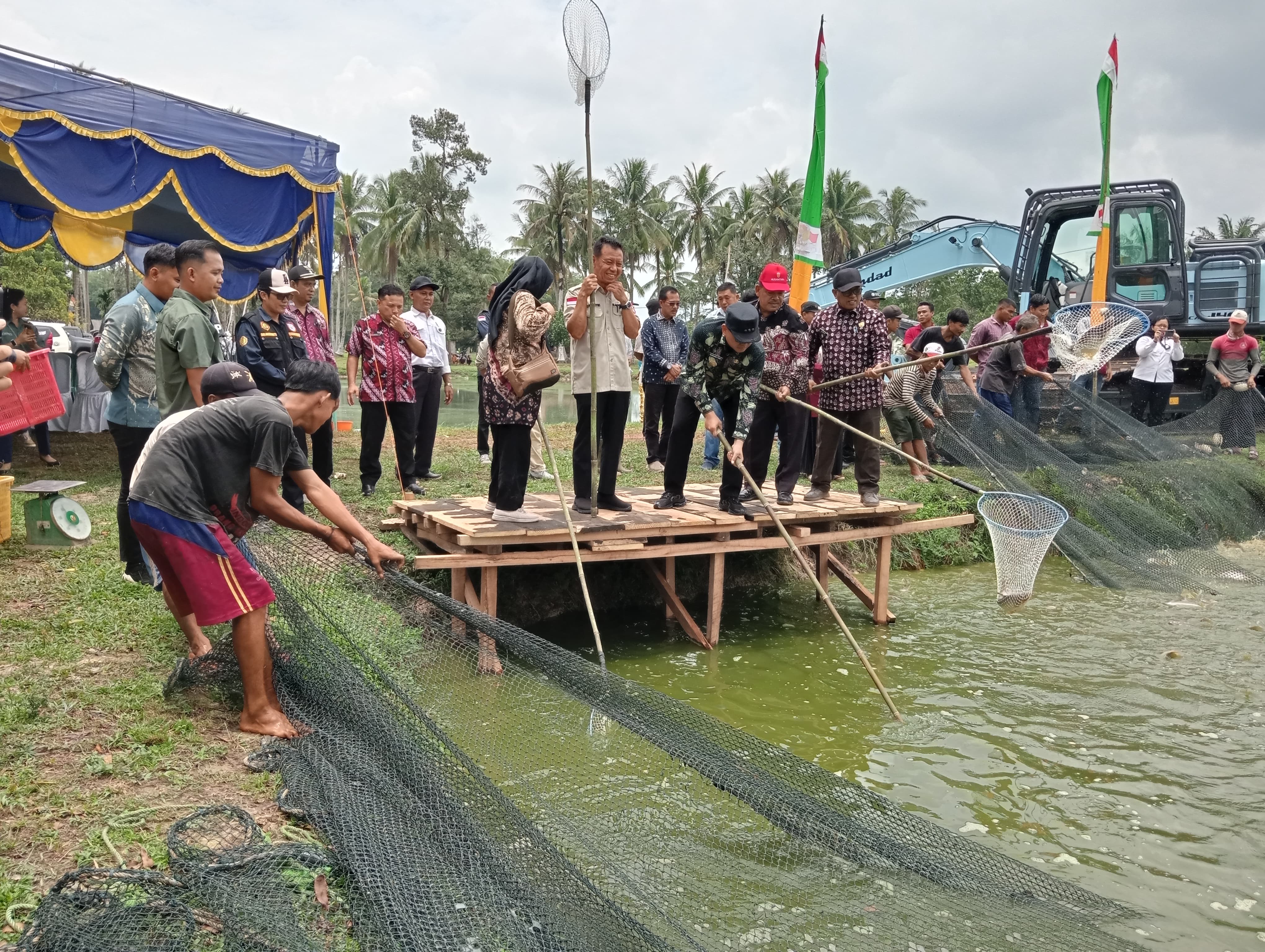 Potensi Ikan Patin Banyuasin Sungguh Luar Biasa