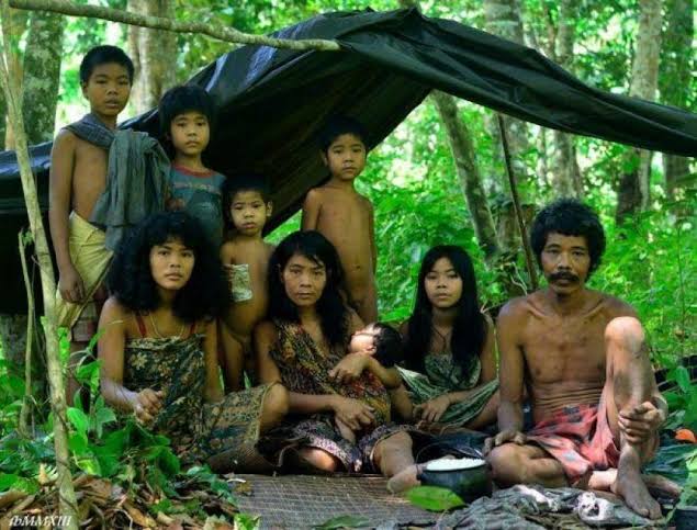 Suku Kubu, Suku Asli Pedalaman Sumatera, Populasi Terbesar di Jambi