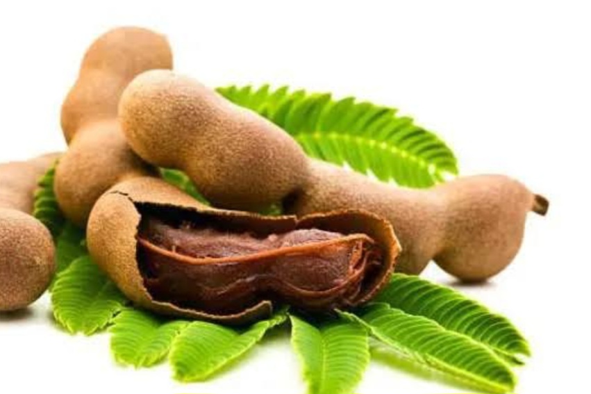 Catat, ini 3 Khasiat Asam Jawa untuk Kesehatan