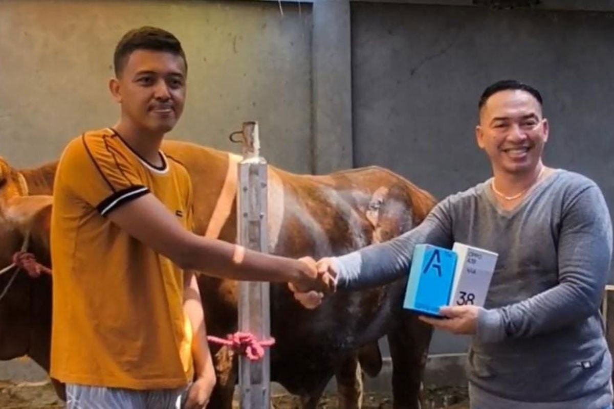 Hanya di Pasuruan, Beli Sapi Dapat Bonus Smartphone