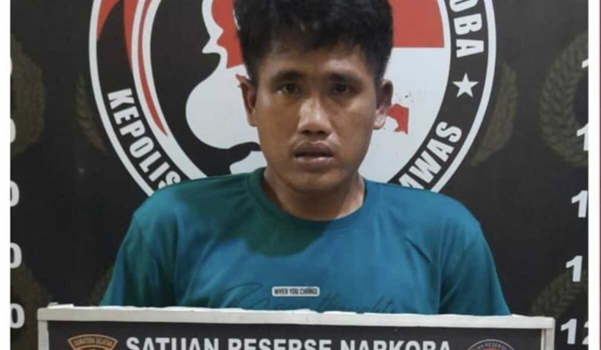 Satres Narkoba Polres Mura Ringkus Pengedar Narkotika di Kebun Sawit