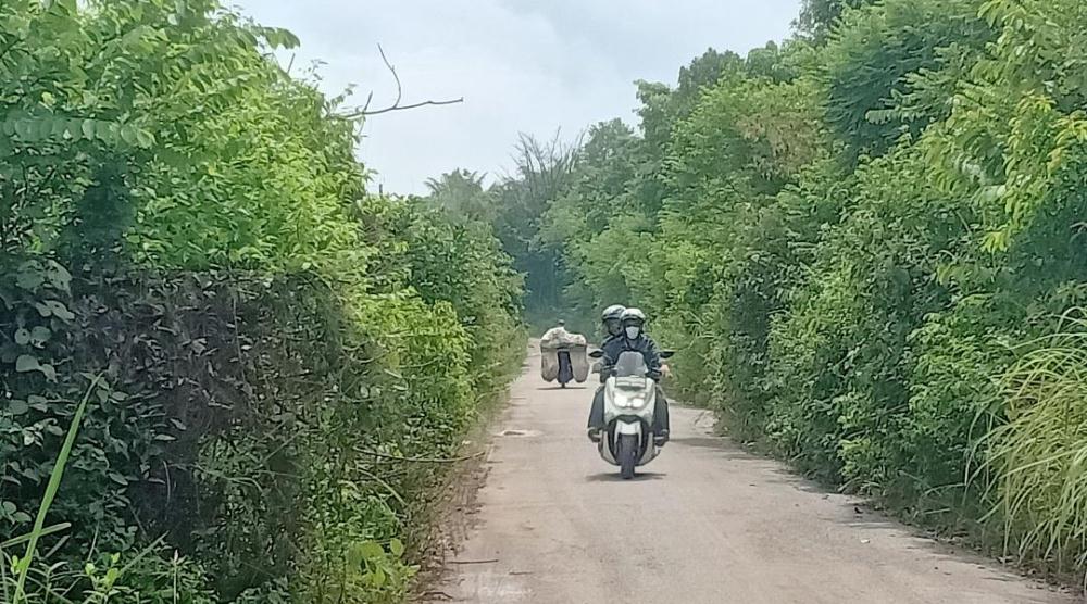 PUPR Ogan Ilir Tidak Melaksanakan Tebas Bayang, Rumput Liar Menjalar Ke Jalan.