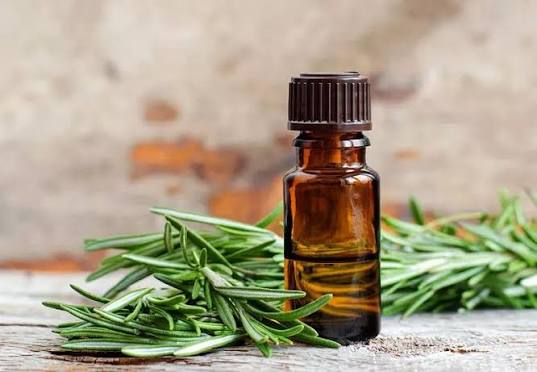Inilah 7 Manfaat Rosemary Oil Untuk Rambut dan Kesehatan Tubuh
