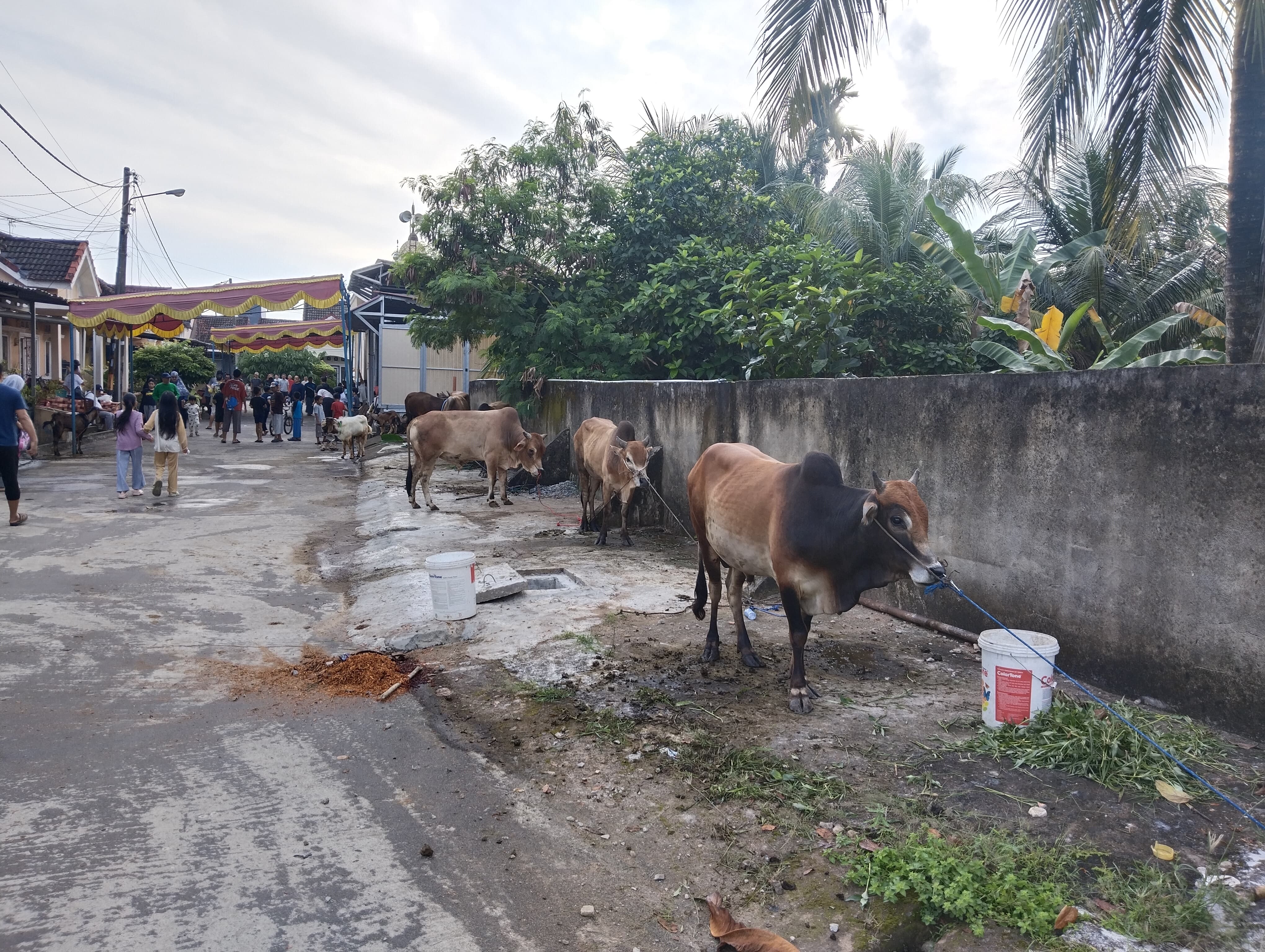Warga Villa Gardena 4 Kurban 6 Sapi-6 Kambing