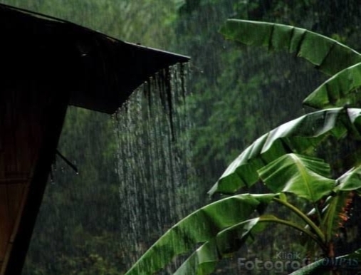 14 Wilayah Sumsel Diperkirakan Bakal Hujan Hari ini 
