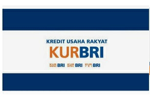 Lagi Ajukan KUR di Bank BRI, Berikut Panduan Agar Pinjaman Bisa Cair