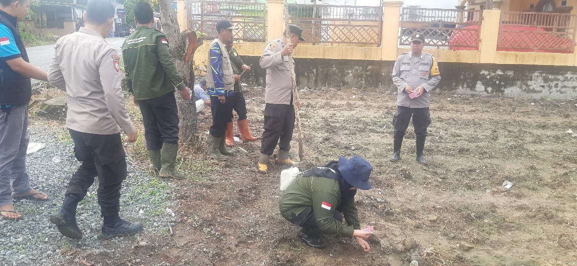 Polsek SP Padang Manfaatkan Lahan Nganggur dengan Bertanam Jagung