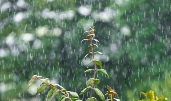 Ogan Ilir dan 6 Wilayah Sumsel Diperkirakan Bakal Hujan Hari ini