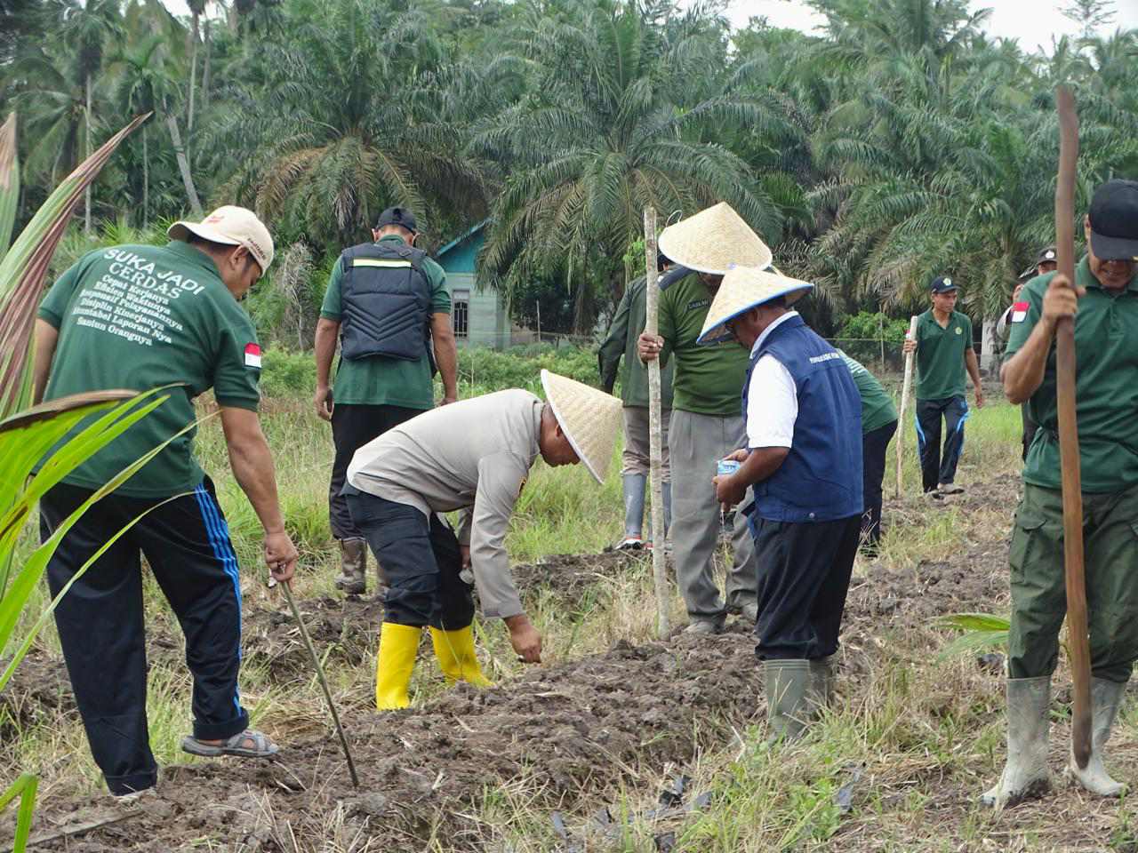 Polsek Lalan Tanam Jagung, Ubi, Menuju Ketahanan Pangan 