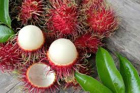 Jangan Dibuang, Ini 6 Khasiat Kulit Rambutan untuk Kesehatan yang Jarang Diketahui