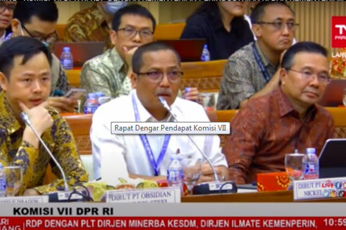 Wakil Ketua Komisi VII DPR Berang, Bos Smelter tak Berbahasa Indonesia