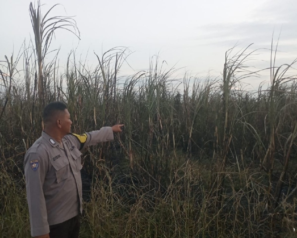 Polsek Tanjung Batu Cek Titik Hotspot di Desa Betung, Lahan Berhasil Dipadamkan
