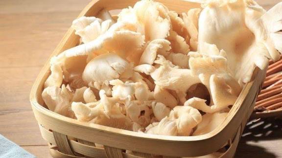 Apakah Boleh Simpan Jamur dalam Kulkas? Begini Cara Menyimpannya dengan Tepat