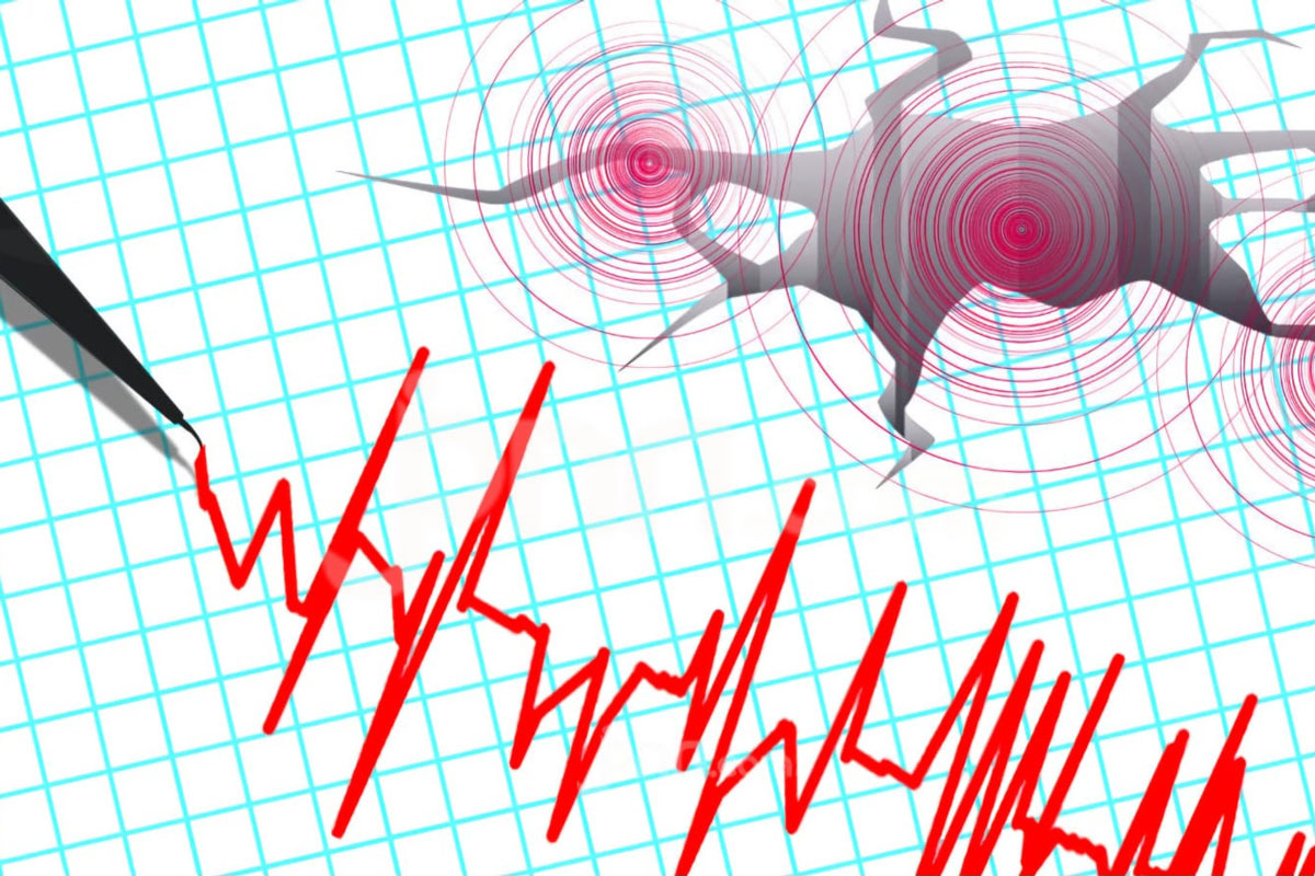 Gempa Landa Lombok Tengah, Getaran Terasa di  Bali