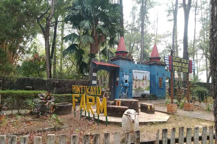 Hanya Merogoh Kocek Rp20 Ribu, Anda Bisa Menikmati Hutan Kota di Palembang