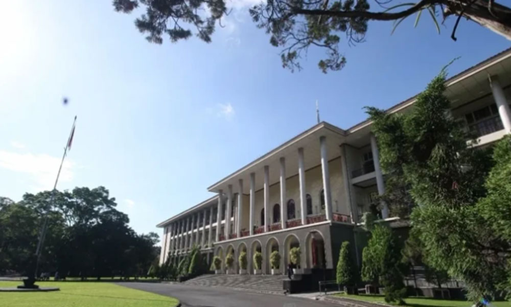 UGM Balas Sindiran Luhut, Ungkap Banyak Penelitian, Salah Satunya Bawang Putih
