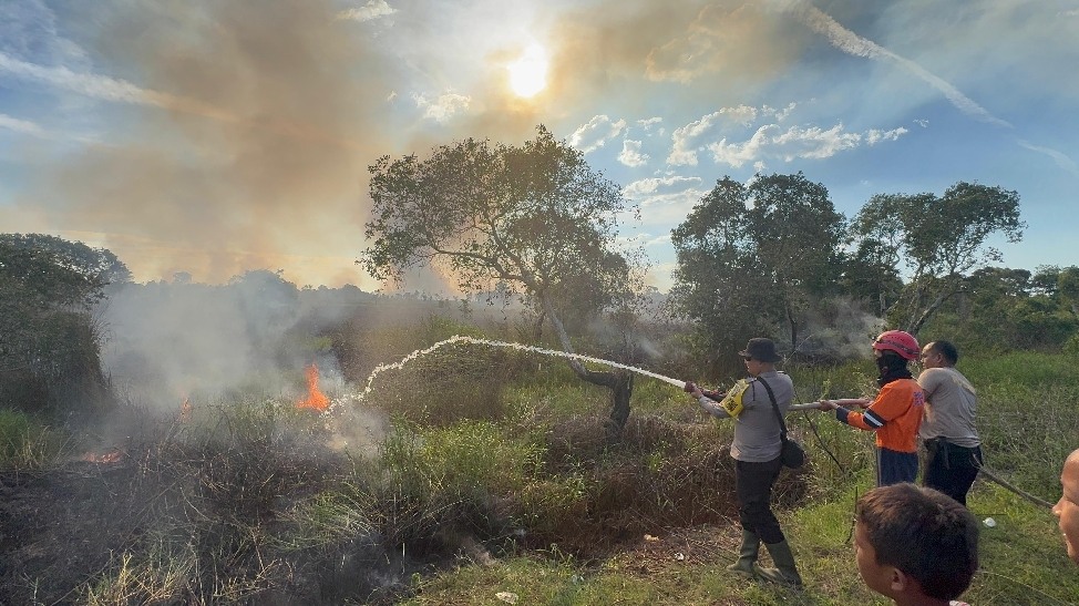 7 Hektar Lahan di Palemraya  Ogan Ilir Terbakar ,Tim Gabungan  Berhasil  Padamkan