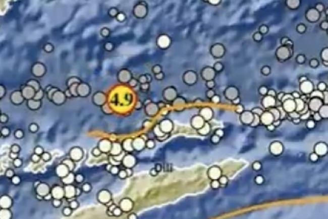 Semoga Tak Ada Korban, Gempa Masih Landa Wilayah Indonesia, Gempa 4,9 Guncang Kawasan Alor NTT Dini Hari Ini 