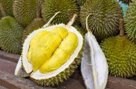 Suka Makan Durian? ini Rekomendasi Berbagai Macam Olahannya