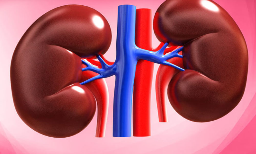 Malaysia Darurat Kasus Gagal Ginjal, ini Penyebabnya?