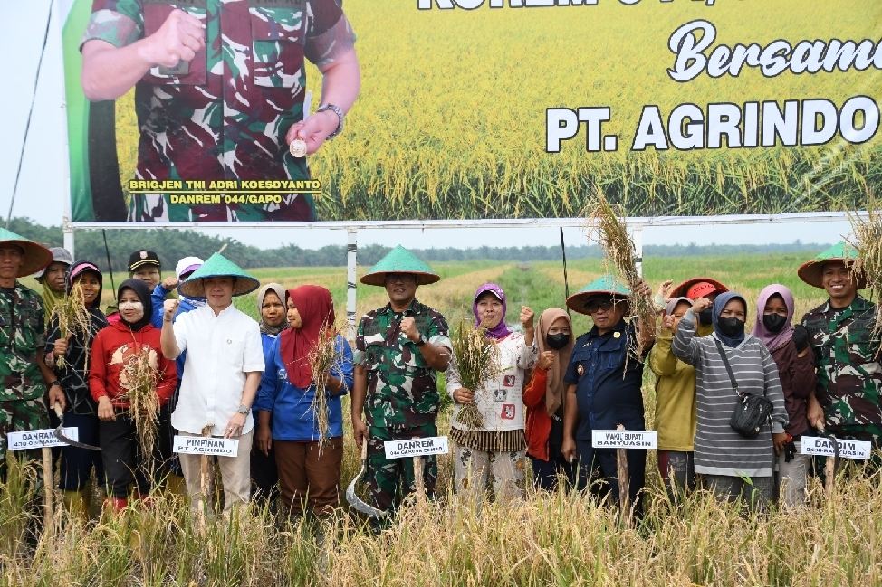 Panen Raya Perdana Padi Gogo Kerja Bareng Korem 044/Gapo - PT Agrindo Raya