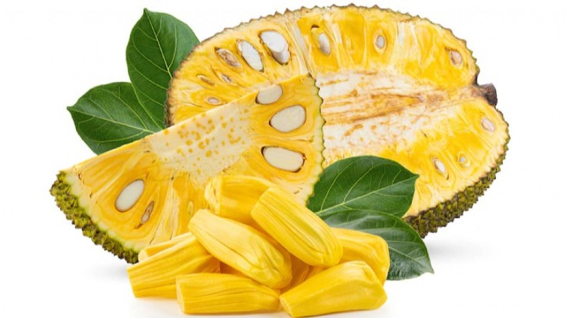 5 Manfaat Buah Nangka, Salah Satunya Dapat Mencegah Anemia