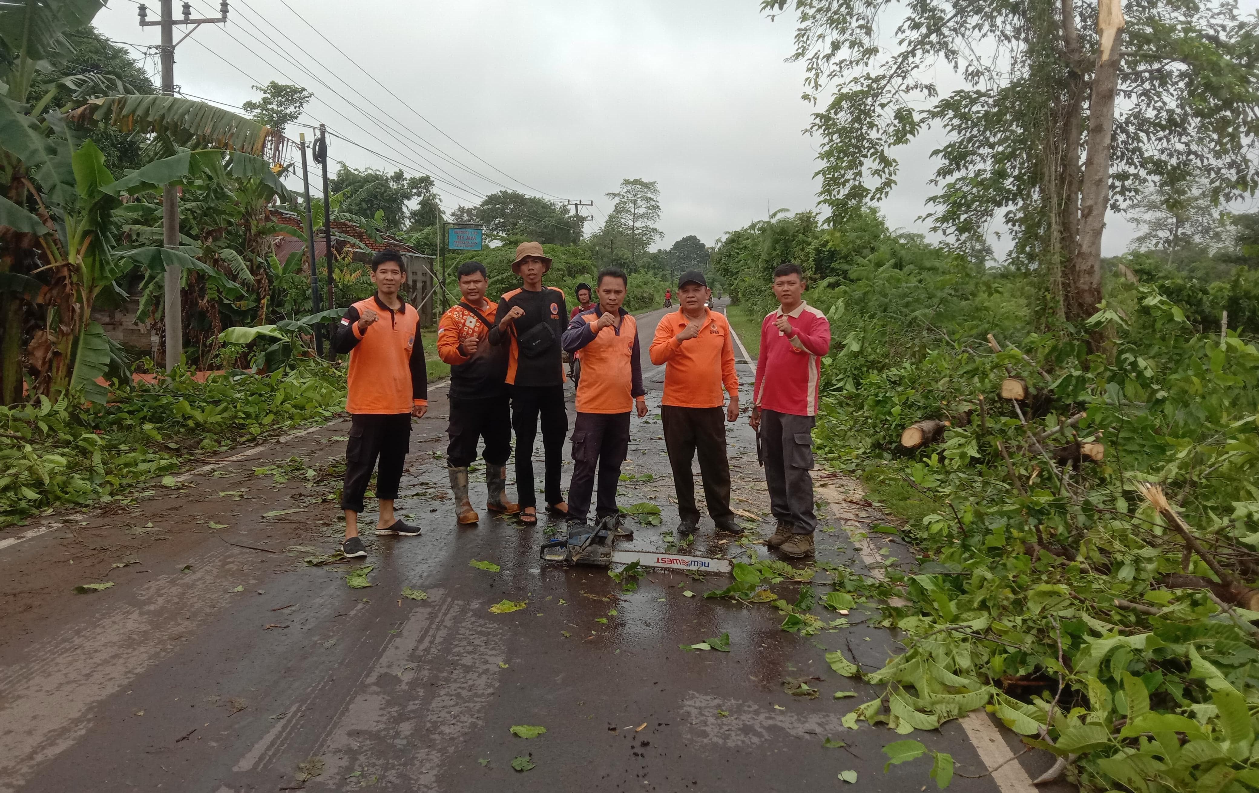 Gerak Cepat Tim Gabungan Pemkab Muba, Pohon Tumbang Langsung Dievakuasi