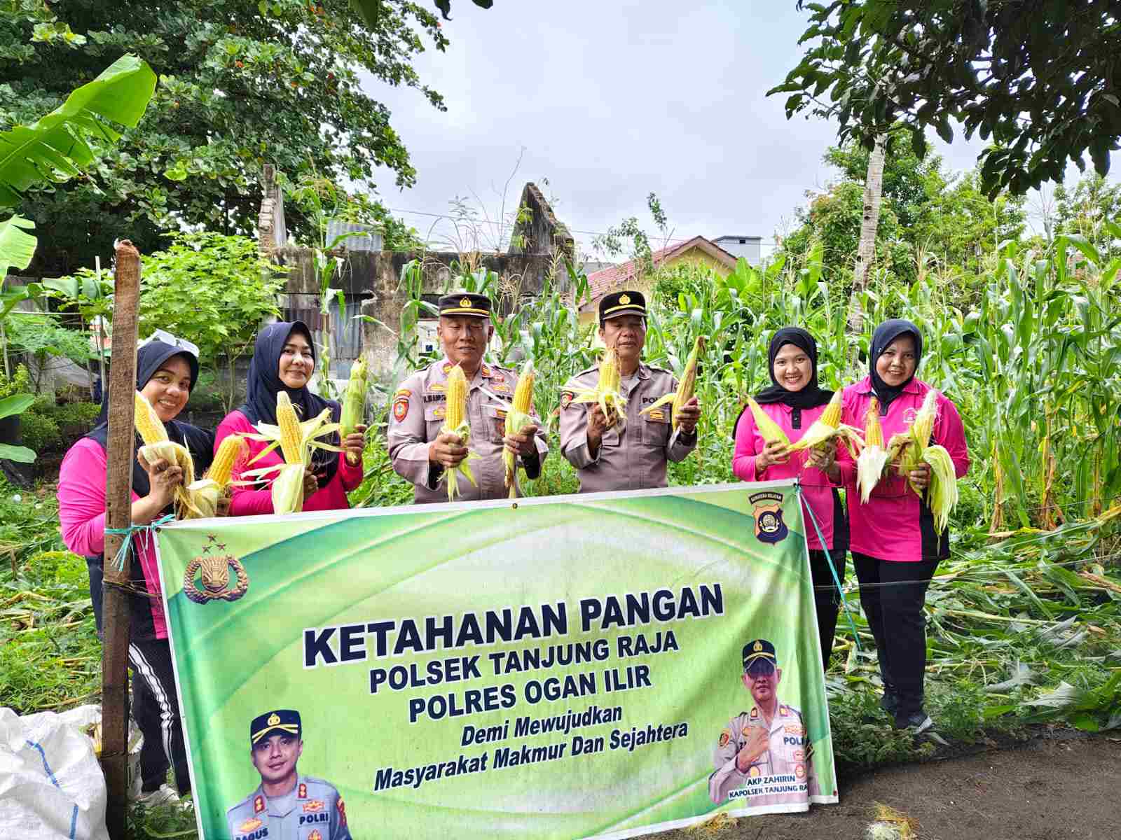 Panen Jagung, Polsek Tanjung Raja Bagikan Ke Masyarakat, Program KPN