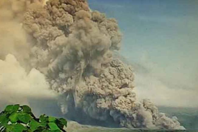 Semeru Meletus Setiap 4 Desember, Dalam 2 Tahun Terakhir, Jepang Waspada Potensi Tsunami