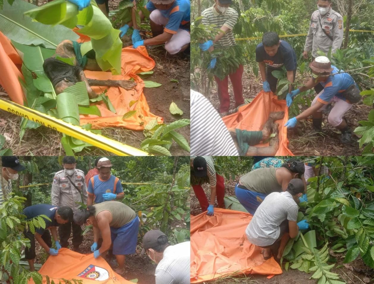 Cuaca Cerah, Petani Kopi Mendadak Merinding