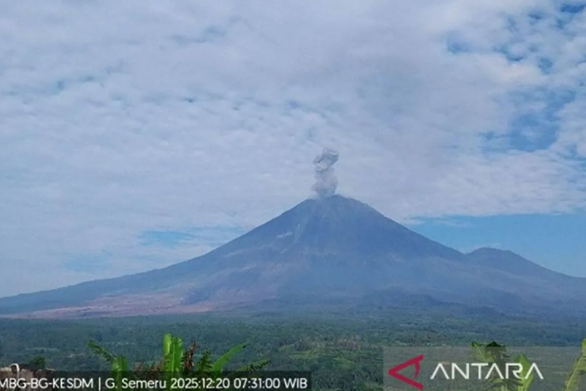 Gunung Semeru Kembali Erupsi, Ketinggian Letusan Mencapai 1.000 Meter