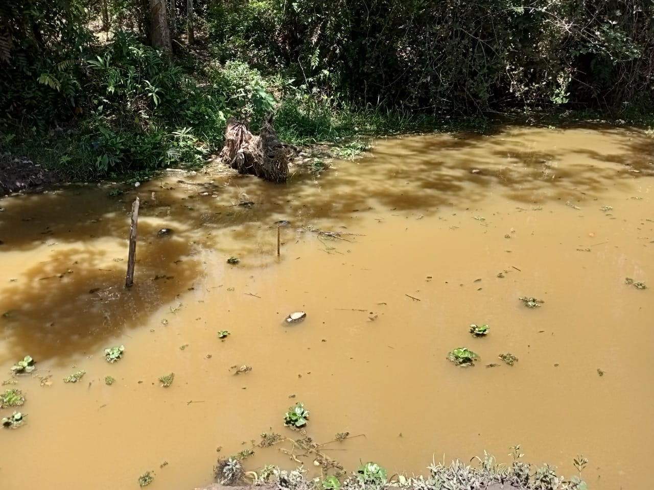 Bocah di Banyuasin Ditemukan Tewas Tenggelam, Usai Mandi Bersama Temannya di Sungai