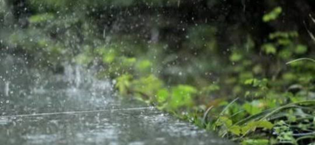 Prakiraan Cuaca Sumsel Rabu 19 November 2025, Sebagian Besar Wilayah Berpotensi Diguyur Hujan