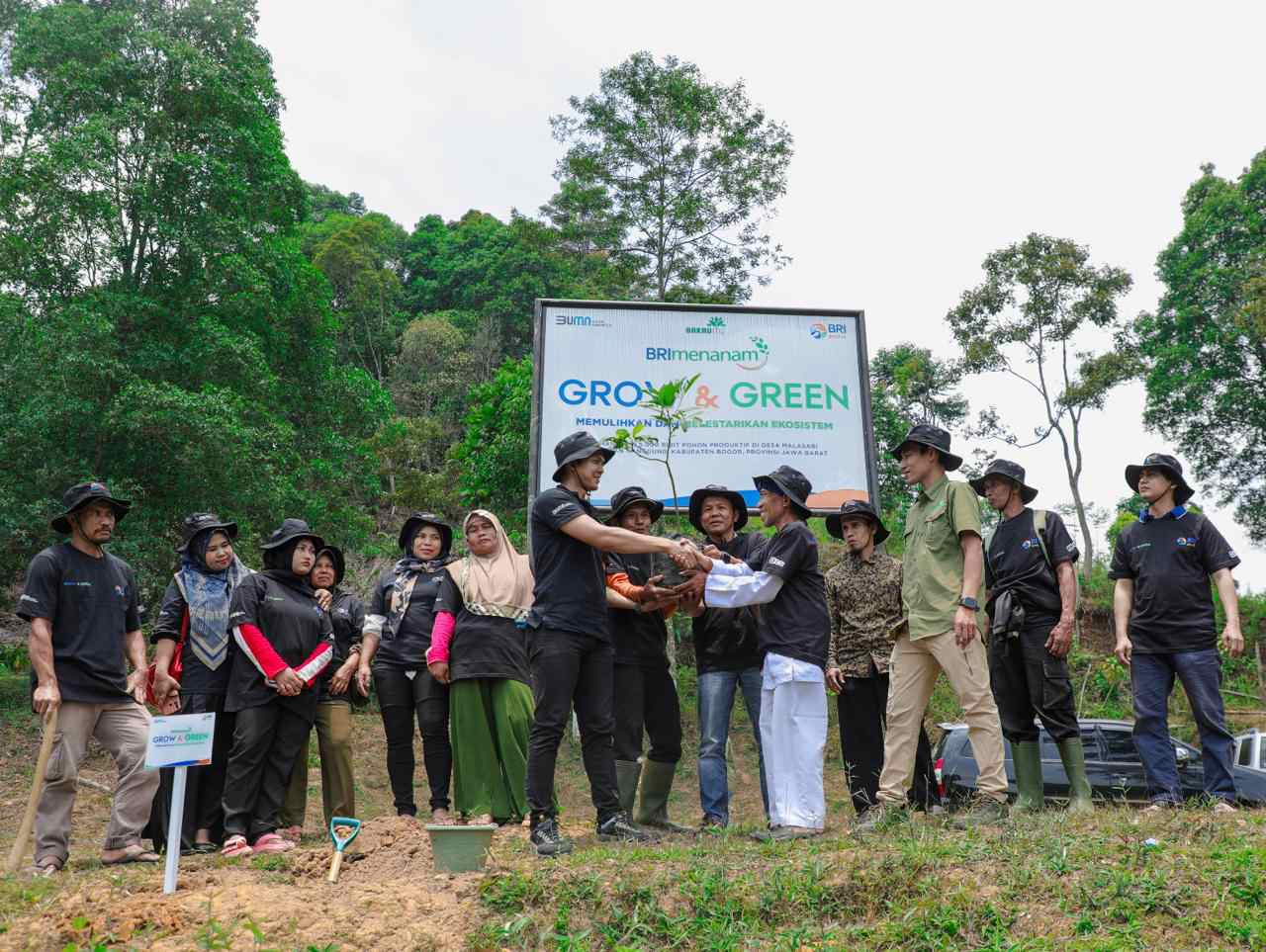 Pulihkan Hutan Bekas Tambang, Aksi Nyata Kelompok Tani Selamatkan Lingkungan Bersama BRI Menanam-Grow & Green