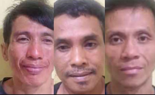 3 Sekawan Maling Sapi di Muratara Tersenyum Lebar, Lolos dari Amuk Massa Setelah Diamankan di Rumah Kades