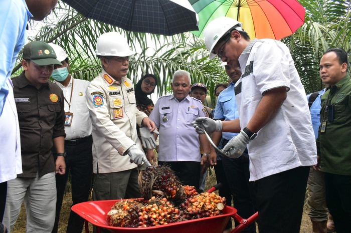 Panen Perdana Sawit PSR, Bupati OKI Sebut Pembangunan Nonfisik