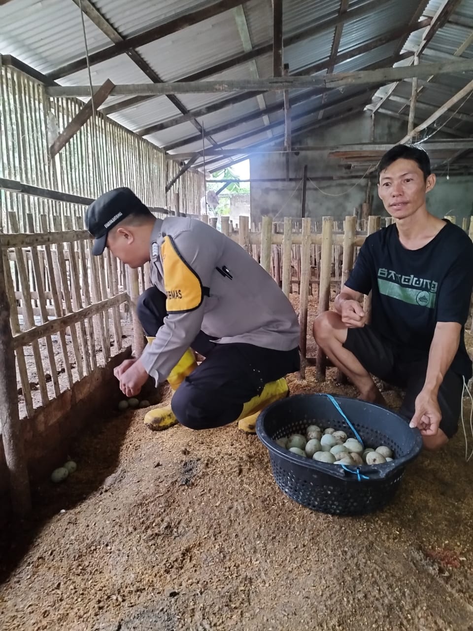 Bhabinkamtibmas Polsek Indralaya  Monitoring  Bebek Petelur dan Ikan Lele di Desa Sudi Mampir, Dukung KPN