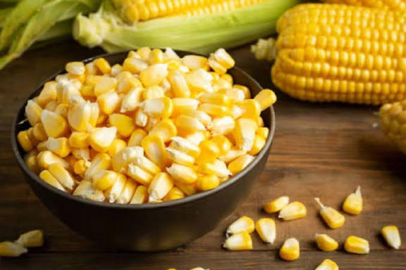 Simak! Inilah 4 Tanda Rebusan dan Kukusan Sudah Basi dan Tak Layak untuk di Makan