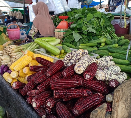 Ada Jagung Ungu Di Ogan Ilir, Mau Tau Apa Manfaat Jagung Ungu