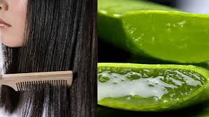 Tips Ampuh Mengatasi Rambut Rontok dengan 7 Bahan Alami, Bikin Rambut Kuat dan Nggak Gampang Rontok!
