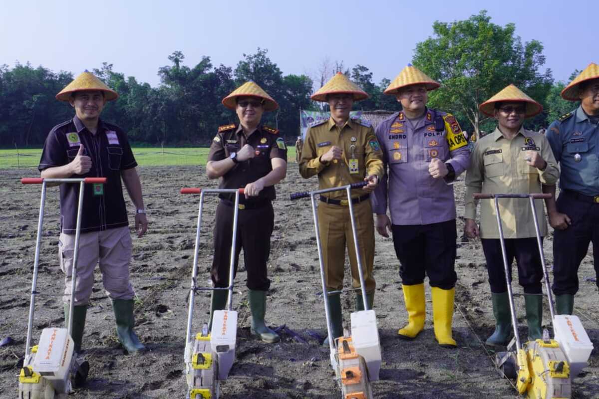 Lahan Belakang Kantor Wako Prabumulih Ditanam Jagung