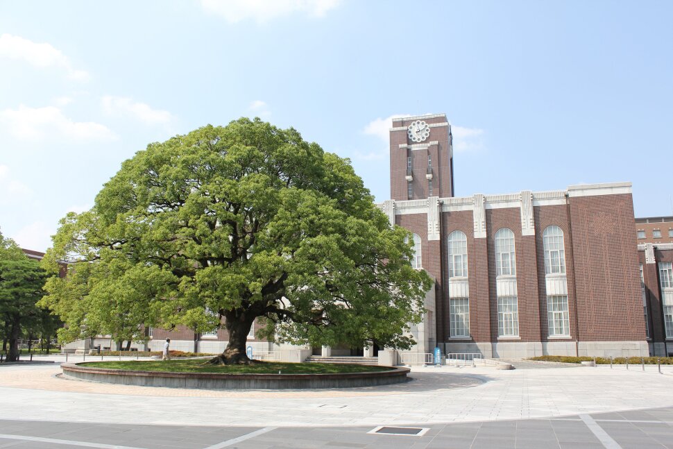 Beasiswa S1 Kyoto University 2024 Dibuka, Cek Syarat dan Cara Daftarnya