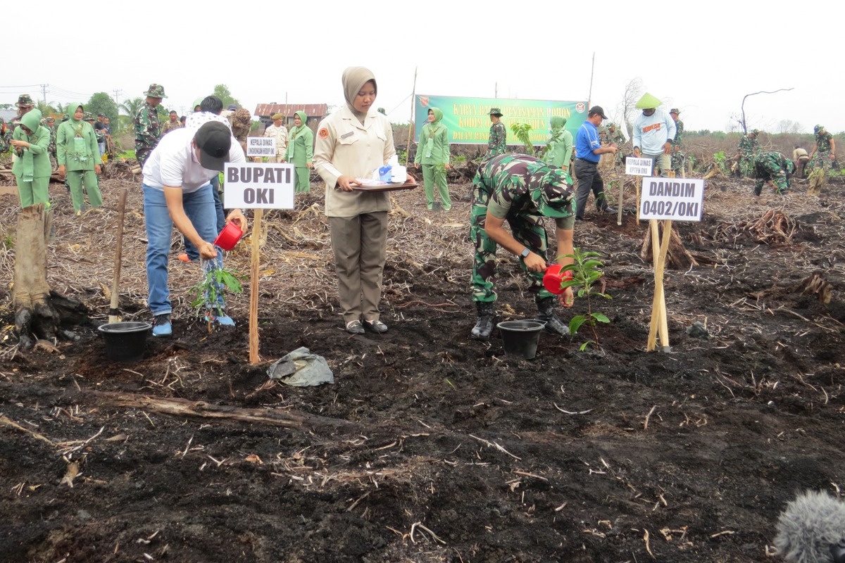 Lahan Bekas Karhutla Dihijaukan Kodim 0402 OKI